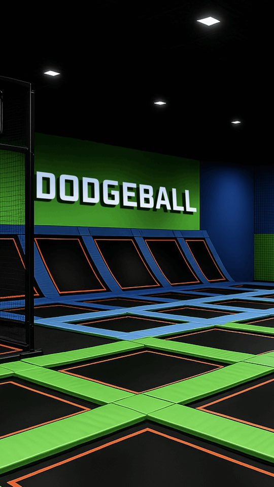 Dodgeball Arena